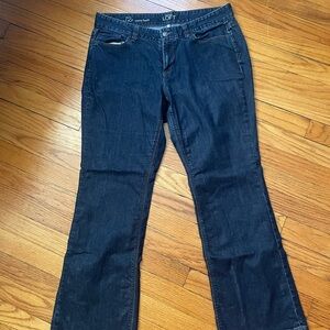 Ann Taylor Women's Dark Blue Boot Cut Jeans, Curvy Boot